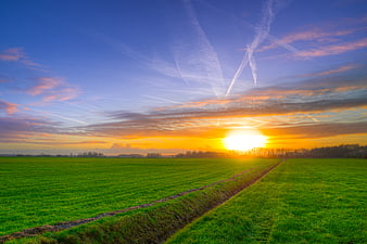 Vibrant Green Meadow at Sunset with Contrails