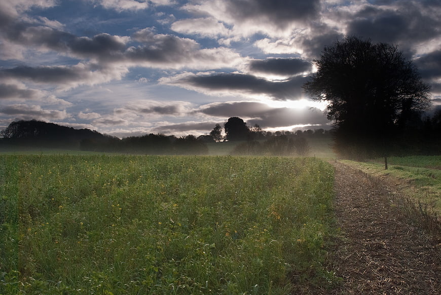 Dramatic Autumn Landscape with Sunlit Field and Cloudy Sky