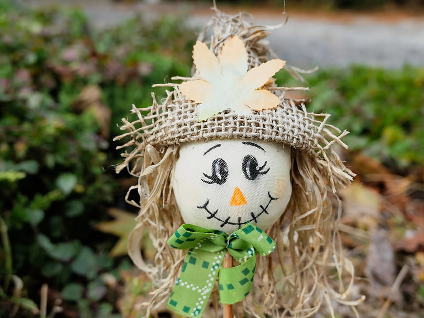 Cute Scarecrow Head with Green Bow in Autumn Garden