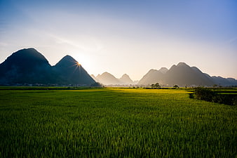 Sunset over lush green rice paddies and mountains in Vietnam