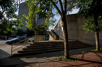 Urban Concrete Staircase with Yellow Rails and Trees