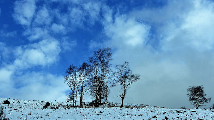 Winter landscape with bare trees on snowy hill under blue sky