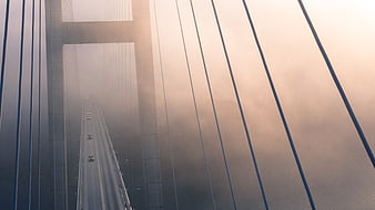 Aerial View of Cable-Stayed Bridge in Foggy Morning Light