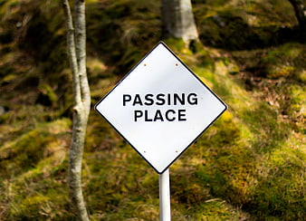 White Passing Place Road Sign in Mossy Forest