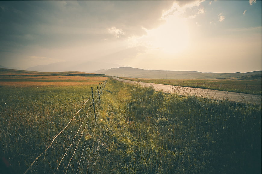 Sunlit rural road winding through grassy fields at sunrise