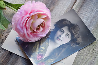 Pink Peony Resting On Vintage Portrait Postcard On Weathered Wood