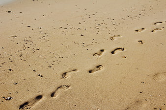 Footprints in Sand on a Sunny Beach