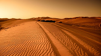 Golden Desert Dunes with Tire Tracks at Sunset