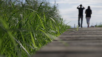Low angle view of grass next to wooden boardwalk with blurred couple