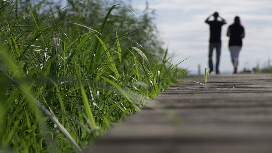 Low angle view of grass next to wooden boardwalk with blurred couple