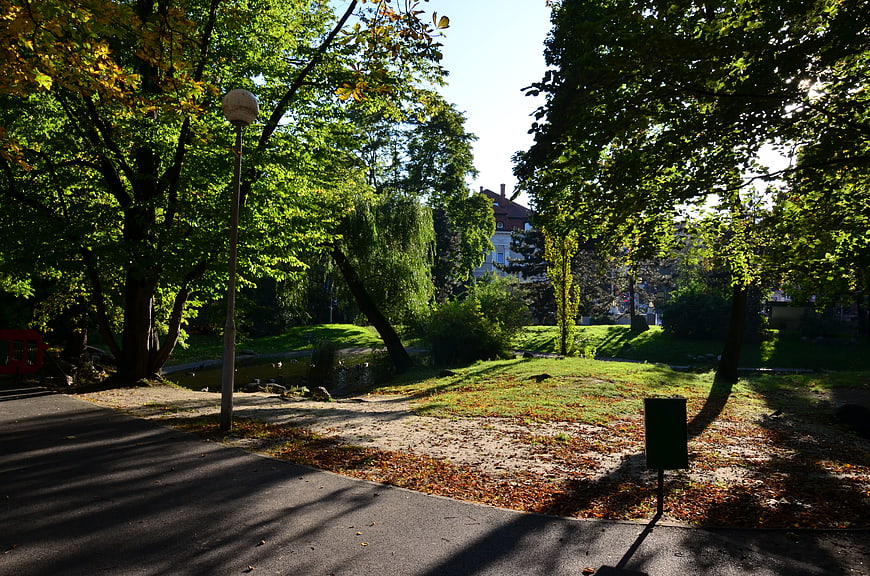 Sunlit Park Path with Autumn Leaves and Trees