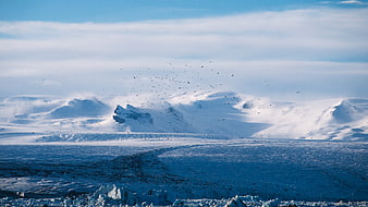 Antarctic landscape with snow-covered mountains and flying birds