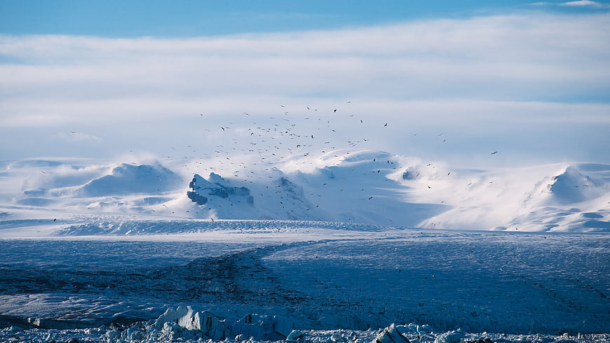 Antarctic landscape with snow-covered mountains and flying birds