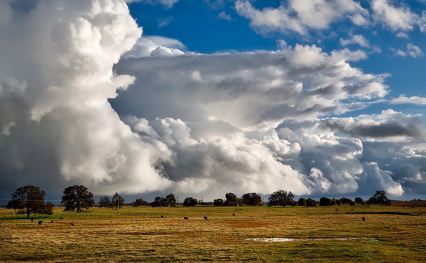 Dramatic Storm Clouds Over Pastoral Grassland