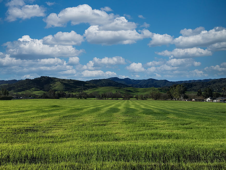 Lush Green Meadow with Rolling Hills and Blue Sky