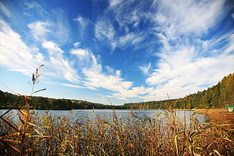 Serene Autumn Lake Landscape with Blue Sky and Forest