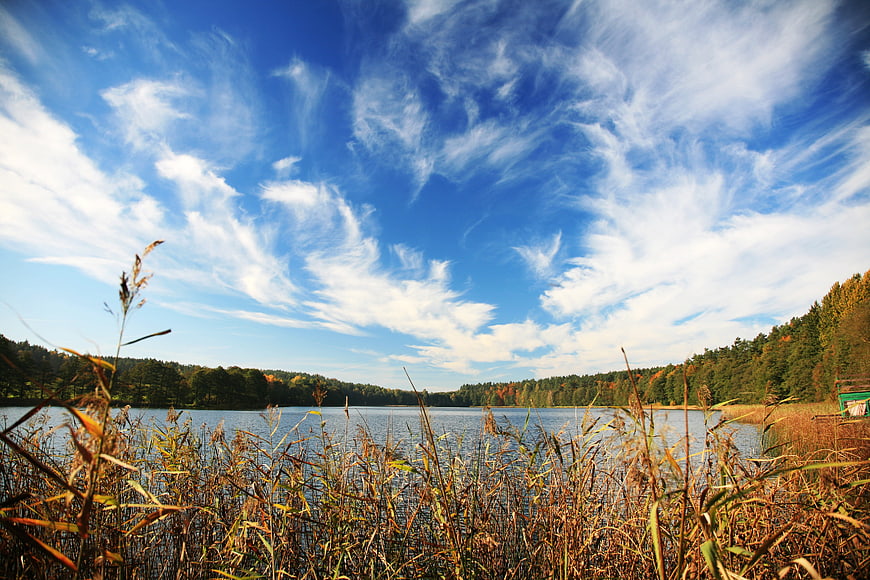 Serene Autumn Lake Landscape with Blue Sky and Forest