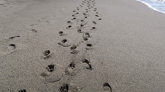 Footprints in wet sand leading to ocean waves