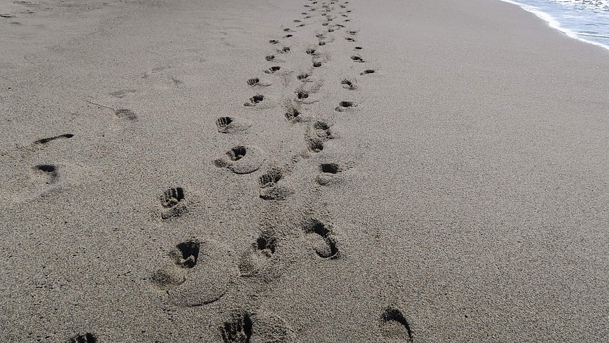 Footprints in wet sand leading to ocean waves