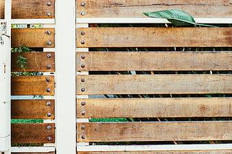 Close-up of weathered wooden slat gate with white frame