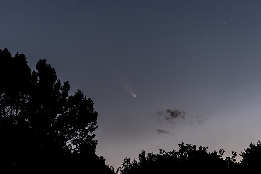 Comet in Night Sky Above Silhouetted Trees