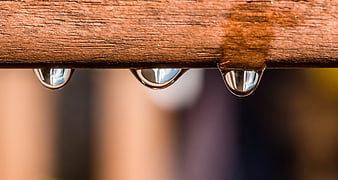 Close-up of water droplets hanging from a wooden plank
