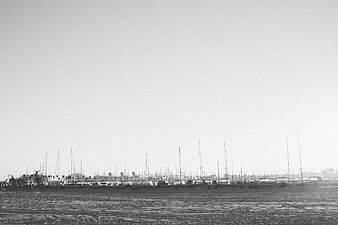 Black and white sailboats in harbor on beach