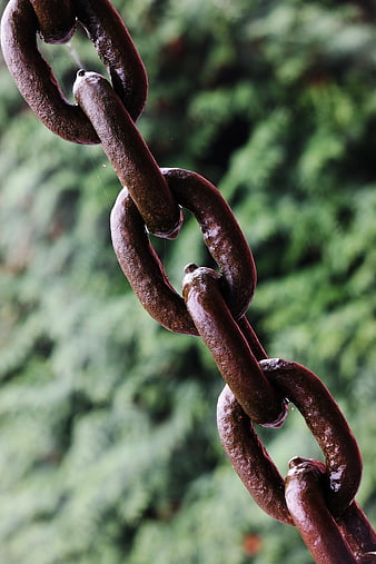 Close-up of wet rusty iron chain links against green background