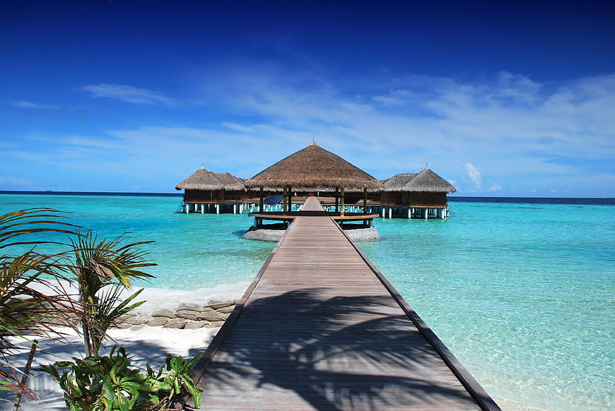 Tropical Overwater Bungalows with Wooden Pier
