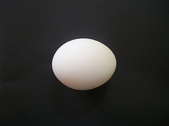 Single white chicken egg isolated on a dark black background
