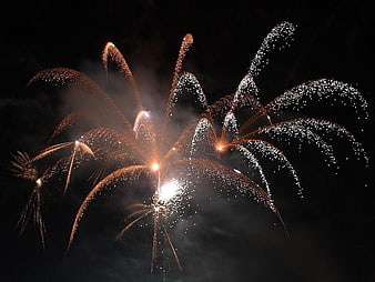 Golden Fireworks Bursting Against Dark Night Sky