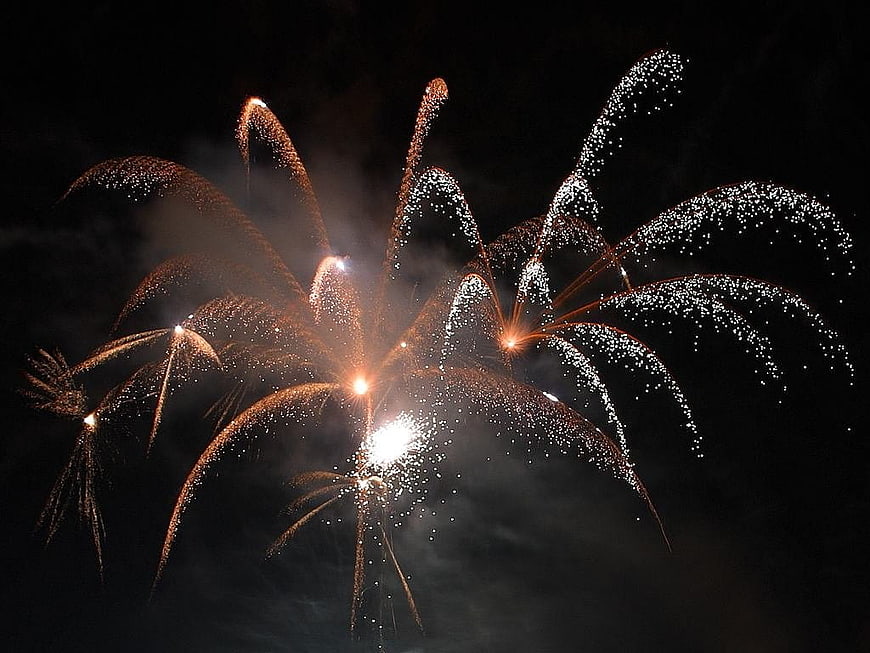 Golden Fireworks Bursting Against Dark Night Sky