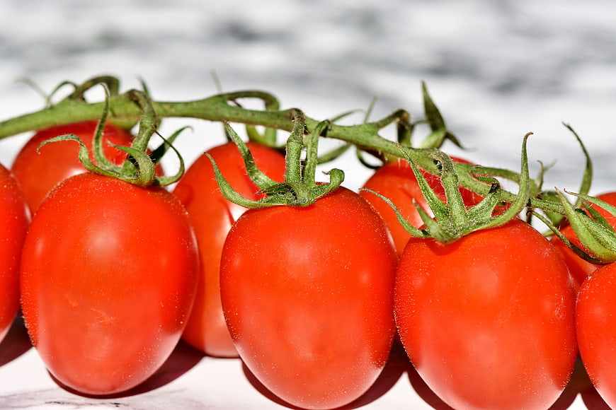 Fresh Red Vine Tomatoes on White Marble Background