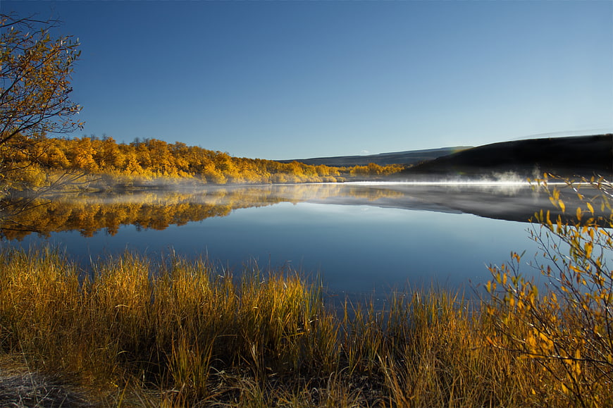 Serene Autumn Lake with Mist and Golden Reflections