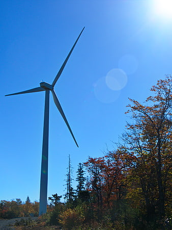 Wind Turbine in Autumn Forest with Blue Sky