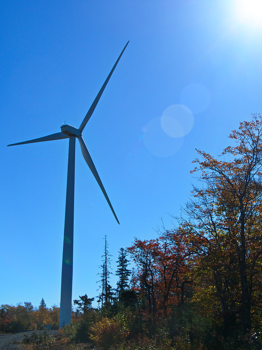 Wind Turbine in Autumn Forest with Blue Sky