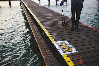Person walking small dog on wooden pier at dusk