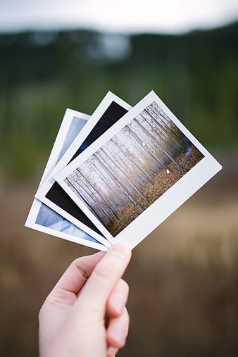 Hand holding printed photos of forest landscape outdoors