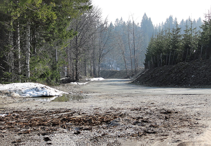 Rural Forest Road with Melting Snow in Early Spring