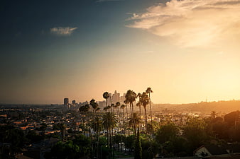 Los Angeles Skyline at Sunset with Palm Trees