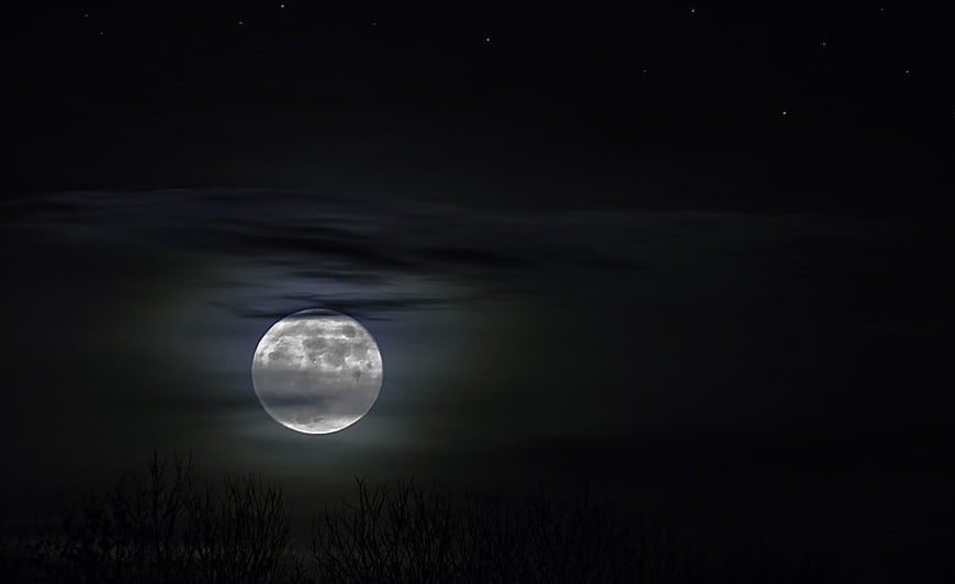 Full moon rising over silhouetted trees at night
