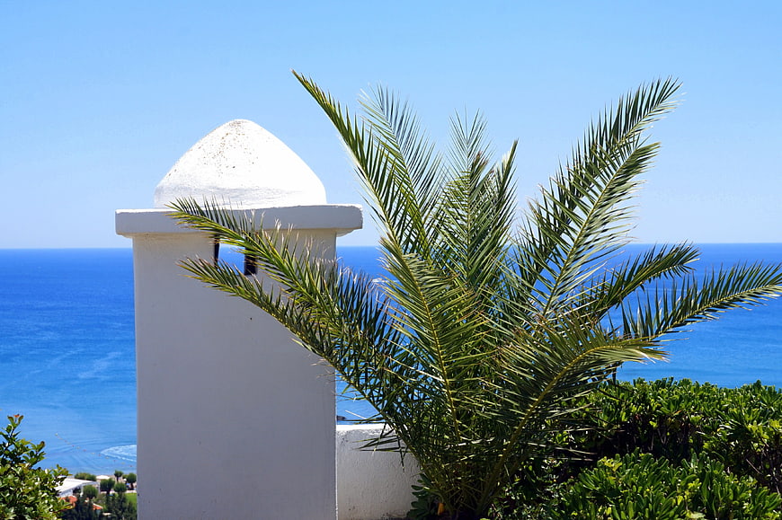 White architectural pillar with palm tree against blue sea
