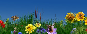 Colorful Summer Meadow with Bees and Wildflowers