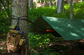 Camping tarp and backpack in a lush green forest