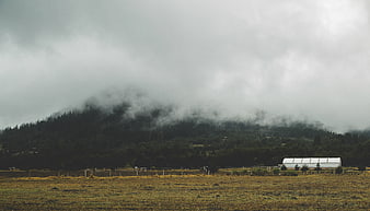Misty Mountain Landscape with Foggy Forest and Field