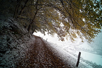 Snowy Autumn Path Overlooking Misty Village and Lake
