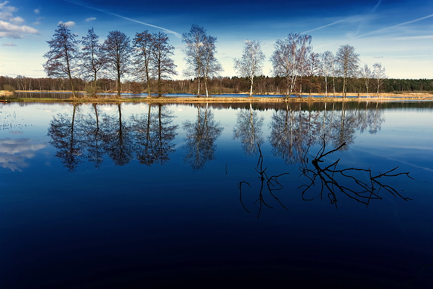Serene Lake Reflection with Bare Trees and Blue Sky