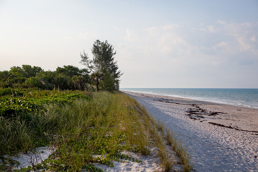 Serene Coastal Landscape with Sandy Beach and Green Dunes