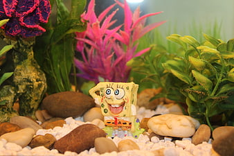SpongeBob SquarePants figurine in a colorful aquarium with plants and rocks