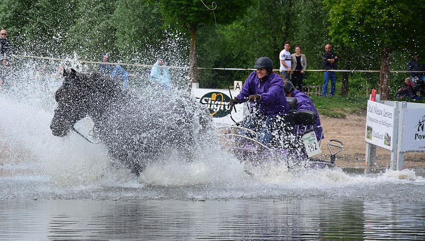 Draft Horse and Rider Splashing Through Water During Equestrian Event